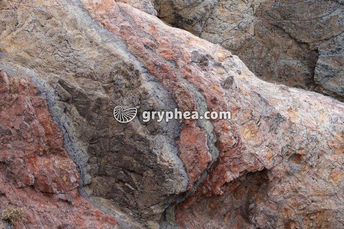 Roches volcaniques colorées (Ile de Madeira, Portugal) - gryphea.com